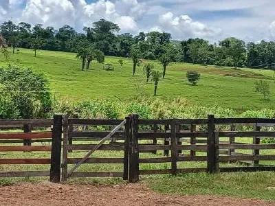 Fazenda em Santa Bárbara de Goiás/Goiás — Ref OFT12Z — Imagem 10