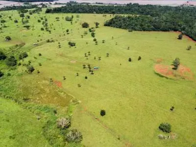 Fazenda em Santa Bárbara de Goiás/Goiás — Ref OFT12Z — Imagem 11