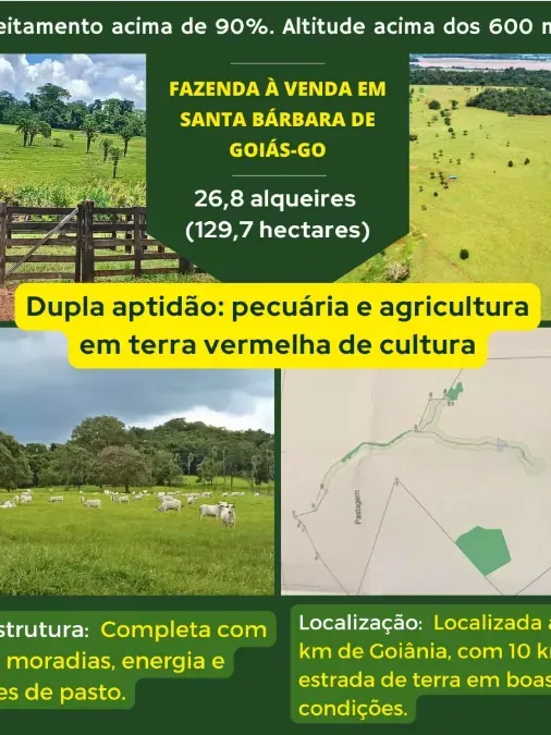 Imóvel rural em Santa Bárbara de Goiás/Goiás — Ref OFT12Z1