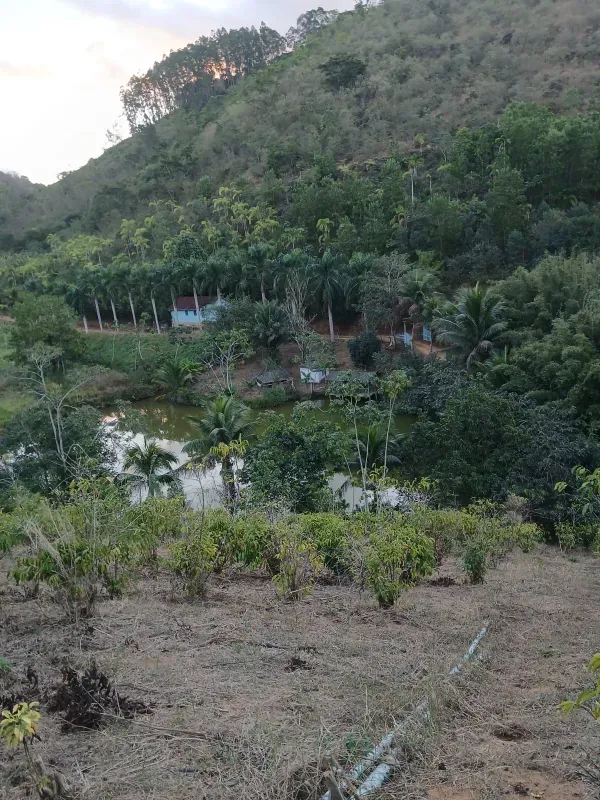 Imóvel rural em Santa Leopoldina/Espírito Santo — Ref TSO6S41