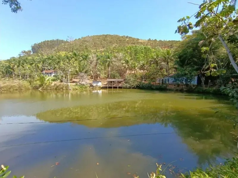 Fazenda em Santa Leopoldina/Espírito Santo — Ref TSO6S4 — Imagem 2