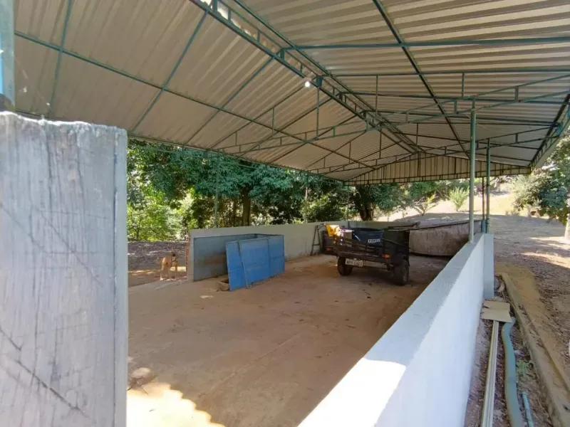 Fazenda em Santa Leopoldina/Espírito Santo — Ref TSO6S4 — Imagem 3