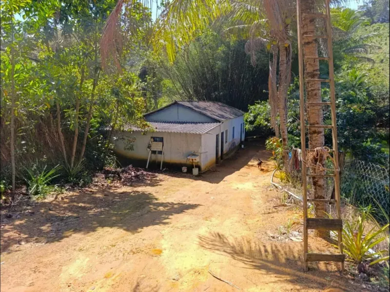 Fazenda em Santa Leopoldina/Espírito Santo — Ref TSO6S4 — Imagem 4
