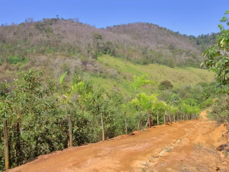 Fazenda em Santa Leopoldina/Espírito Santo — Ref TSO6S4 — Imagem 9