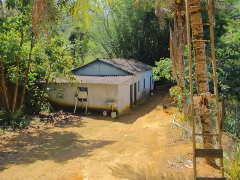 Fazenda em Santa Leopoldina/Espírito Santo — Ref TSO6S4 — Imagem 11