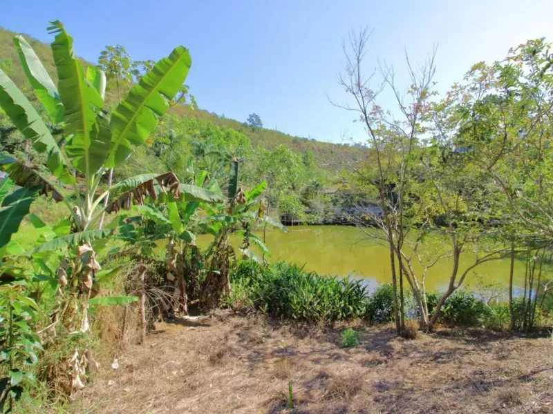 Fazenda em Santa Leopoldina/Espírito Santo — Ref TSO6S4 — Imagem 17