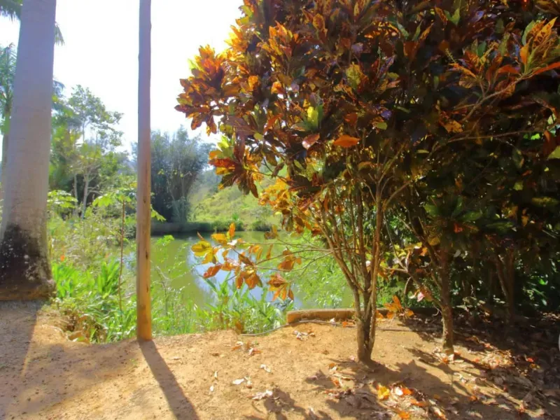 Fazenda em Santa Leopoldina/Espírito Santo — Ref TSO6S4 — Imagem 20
