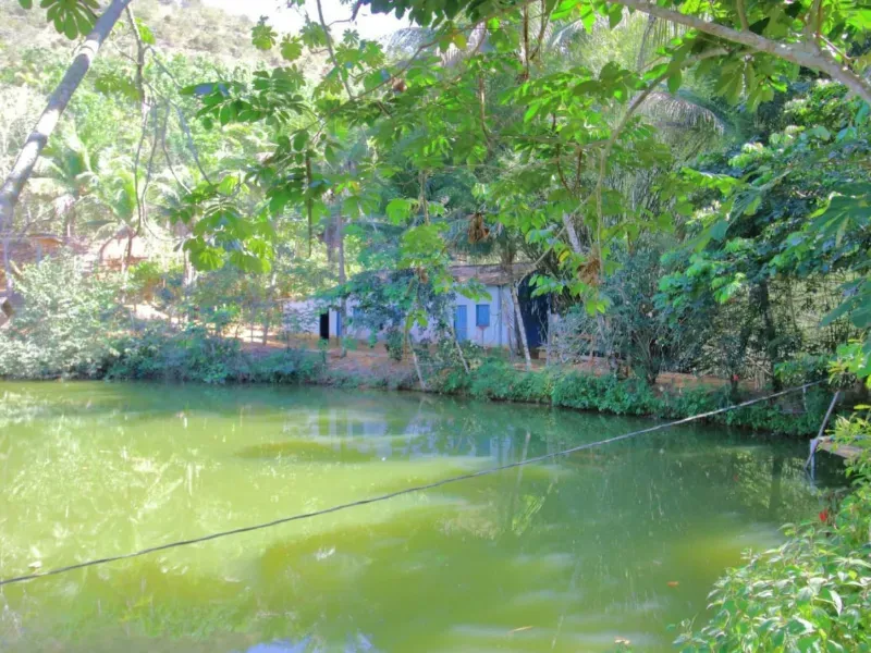 Fazenda em Santa Leopoldina/Espírito Santo — Ref TSO6S4 — Imagem 21