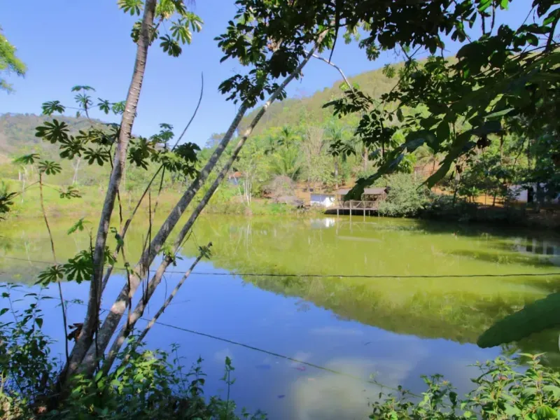 Fazenda em Santa Leopoldina/Espírito Santo — Ref TSO6S4 — Imagem 22