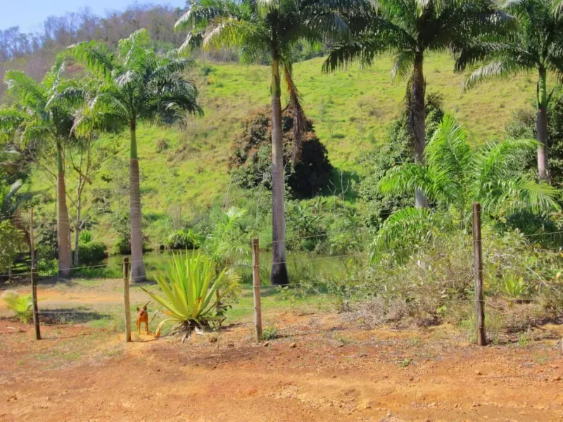 Fazenda em Santa Leopoldina/Espírito Santo — Ref TSO6S4 — Imagem 23