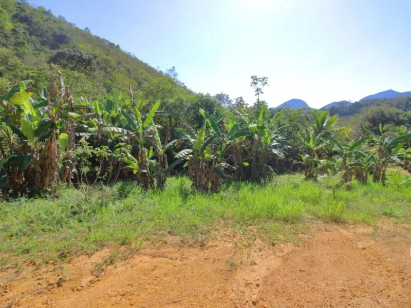 Fazenda em Santa Leopoldina/Espírito Santo — Ref TSO6S4 — Imagem 26