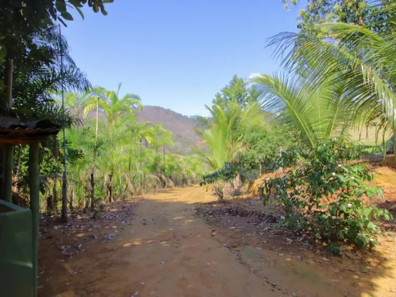 Fazenda em Santa Leopoldina/Espírito Santo — Ref TSO6S4 — Imagem 30