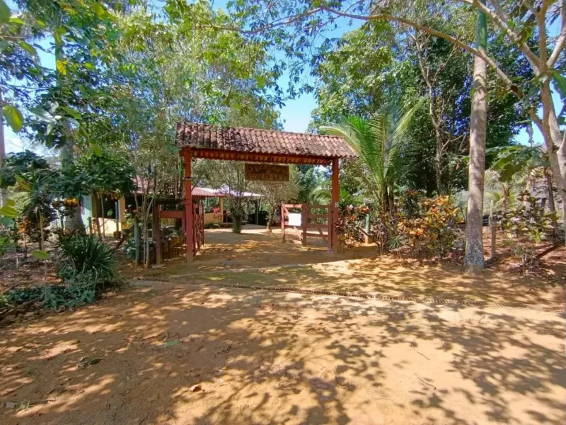 Fazenda em Santa Leopoldina/Espírito Santo — Ref TSO6S4 — Imagem 34