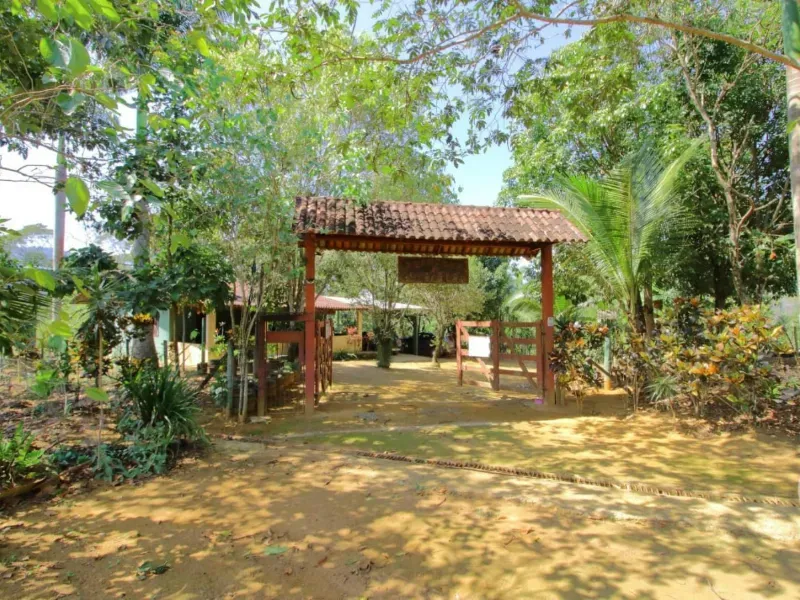 Fazenda em Santa Leopoldina/Espírito Santo — Ref TSO6S4 — Imagem 38