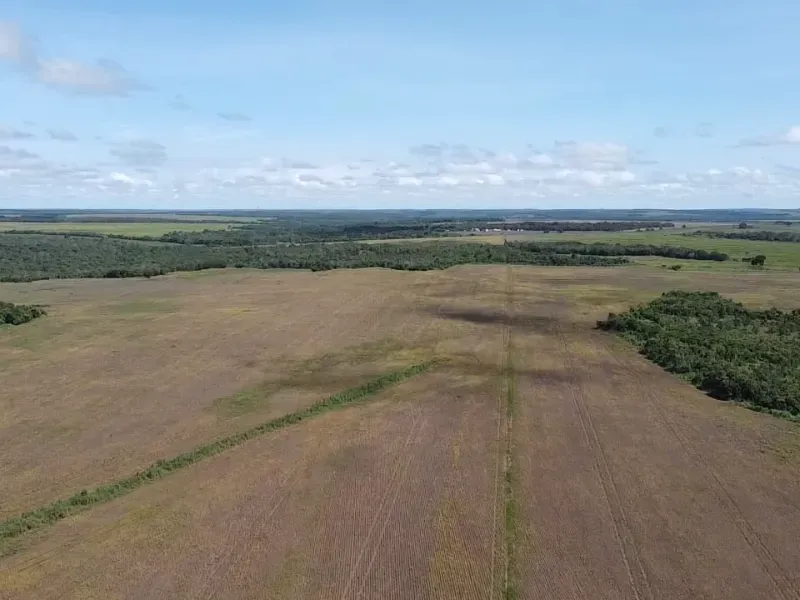 Fazenda em Santa Rita do Tocantins/Tocantins — Ref RJ8NET — Imagem 3