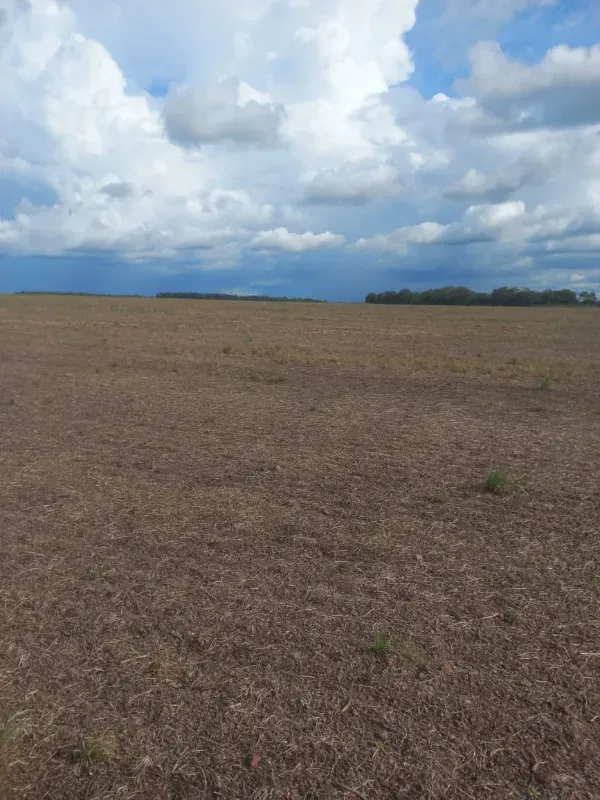 Fazenda em Santa Rita do Tocantins/Tocantins — Ref RJ8NET — Imagem 4