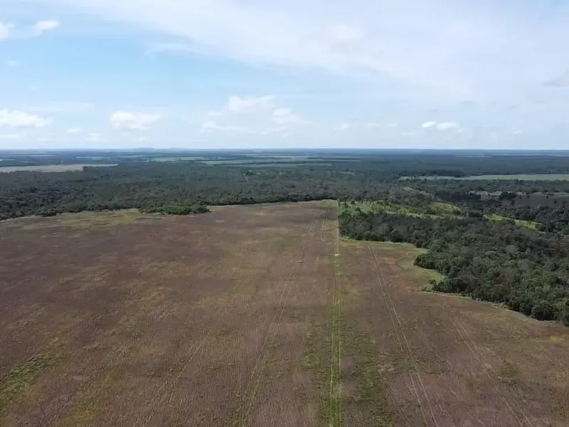 Fazenda em Santa Rita do Tocantins/Tocantins — Ref RJ8NET — Imagem 2