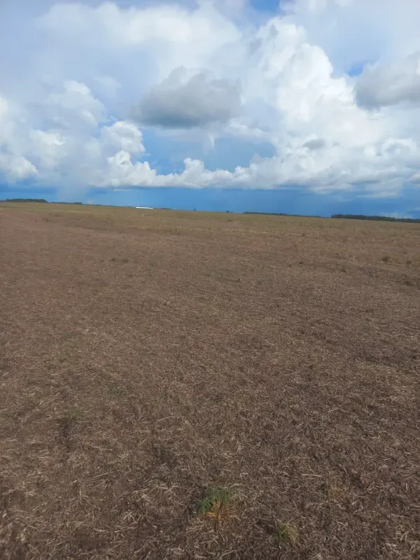 Fazenda em Santa Rita do Tocantins/Tocantins — Ref RJ8NET — Imagem 5