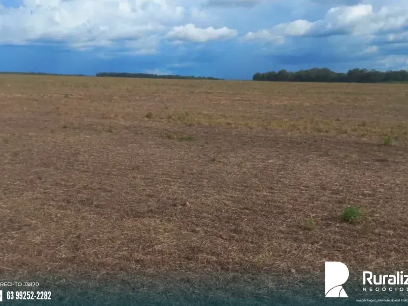 Fazenda em Santa Rita do Tocantins/Tocantins — Ref HNZF1N — Imagem 2