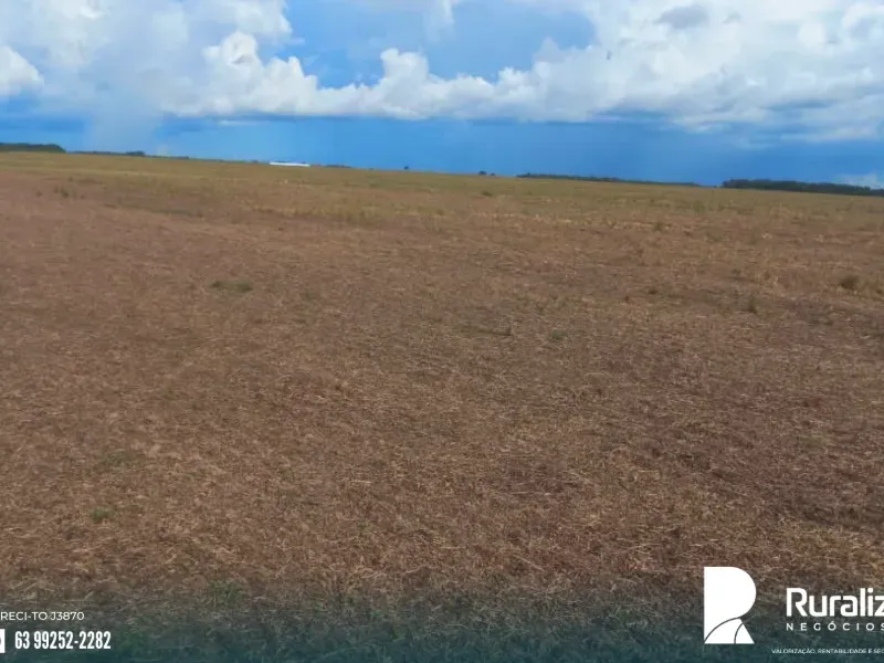 Fazenda em Santa Rita do Tocantins/Tocantins — Ref HNZF1N — Imagem 5