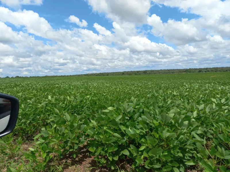 Fazenda em Santa Rita do Tocantins/Tocantins — Ref WDIIRT — Imagem 10