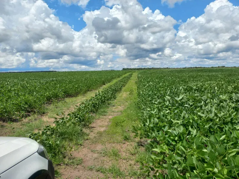 Fazenda em Santa Rita do Tocantins/Tocantins — Ref WDIIRT — Imagem 9