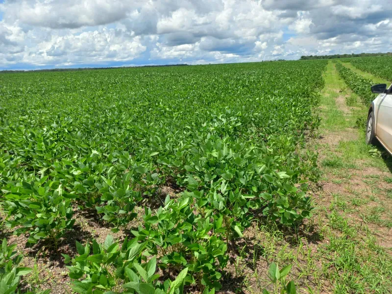 Fazenda em Santa Rita do Tocantins/Tocantins — Ref WDIIRT — Imagem 5