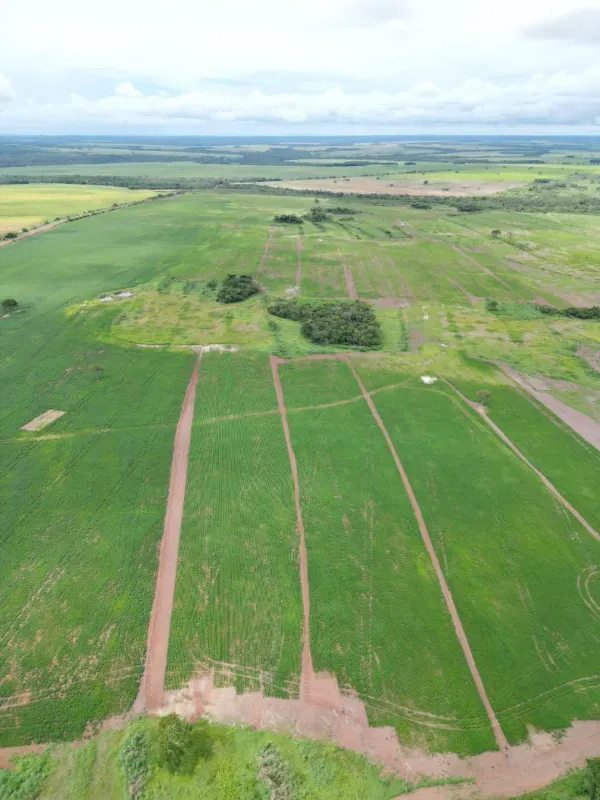 Fazenda em Santa Rita do Tocantins/Tocantins — Ref XLOWTO — Imagem 3