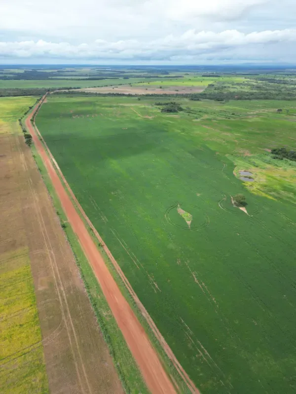 Imóvel rural em Santa Rita do Tocantins/Tocantins — Ref XLOWTO1