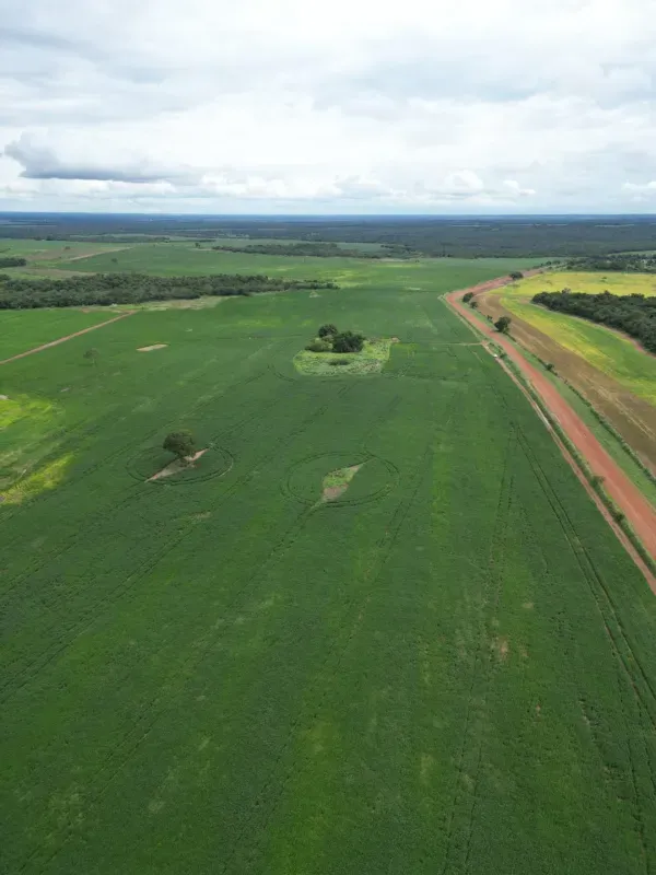 Fazenda em Santa Rita do Tocantins/Tocantins — Ref XLOWTO — Imagem 2