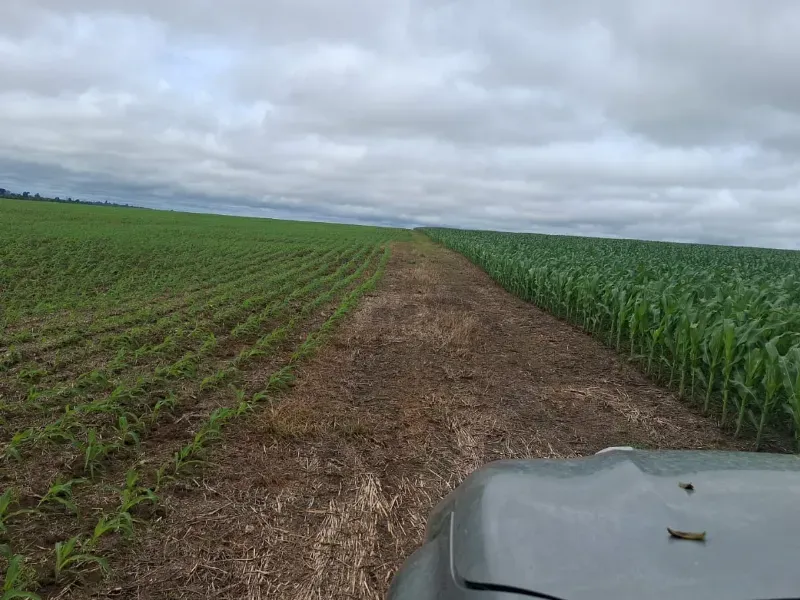 Fazenda em Santarém/Pará — Ref JX89GE — Imagem 8
