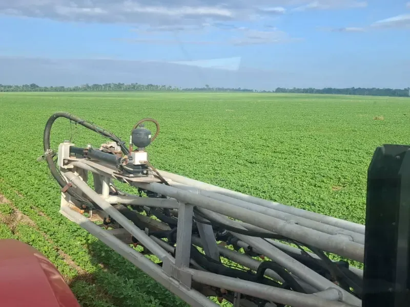 Fazenda em Santarém/Pará — Ref JX89GE — Imagem 11