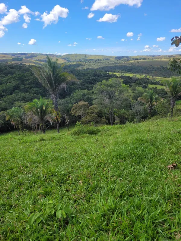 Fazenda em Santo Antônio do Descoberto/Goiás — Ref BBA31W — Imagem 21