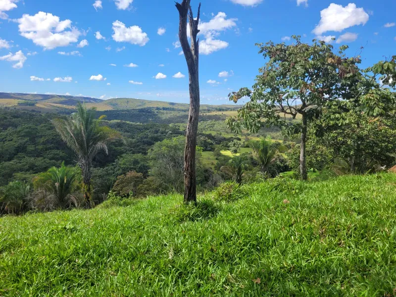 Fazenda em Santo Antônio do Descoberto/Goiás — Ref BBA31W — Imagem 15