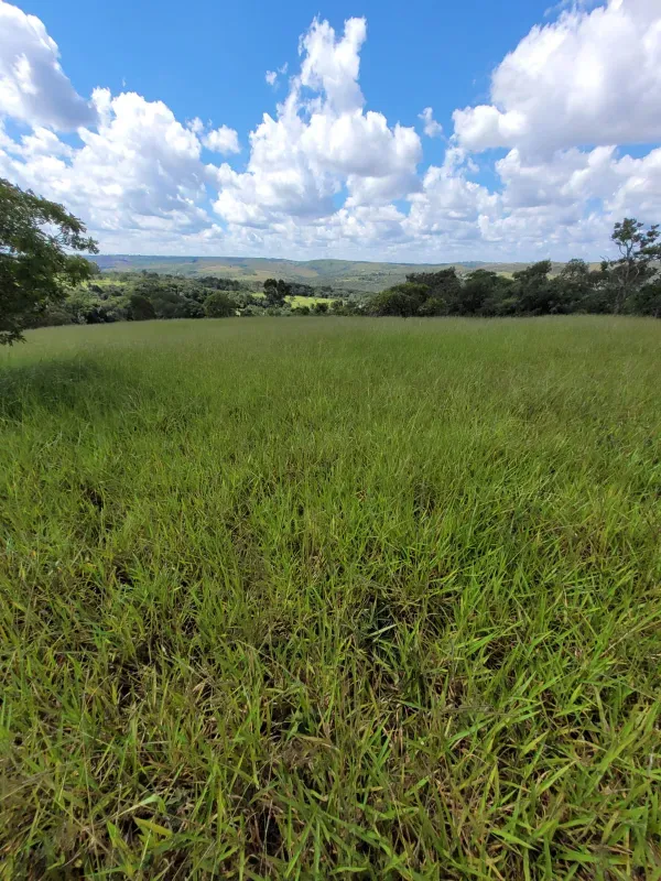 Fazenda em Santo Antônio do Descoberto/Goiás — Ref BBA31W — Imagem 25