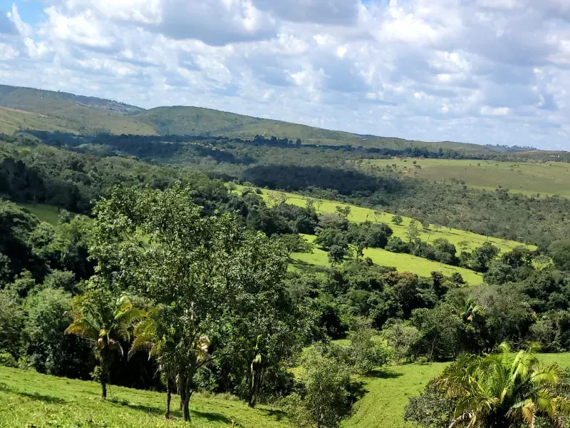 Fazenda em Santo Antônio do Descoberto/Goiás — Ref BBA31W — Imagem 3