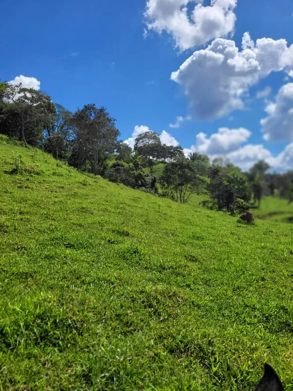 Fazenda em Santo Antônio do Descoberto/Goiás — Ref BBA31W — Imagem 26