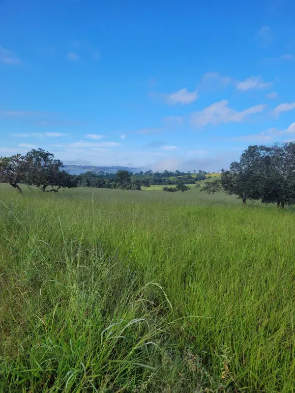 Fazenda em Santo Antônio do Descoberto/Goiás — Ref BBA31W — Imagem 27