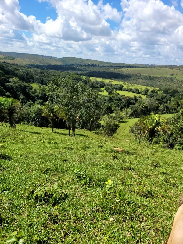 Fazenda em Santo Antônio do Descoberto/Goiás — Ref BBA31W — Imagem 28