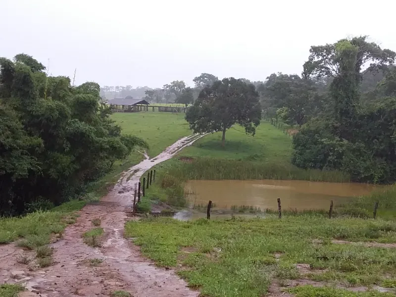 Fazenda em Santo Antônio do Descoberto/Goiás — Ref BBA31W — Imagem 17