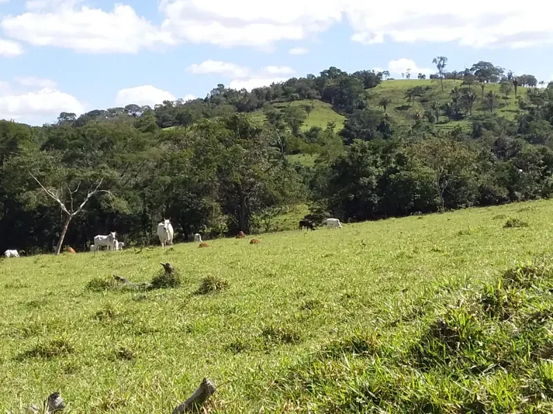 Fazenda em Santo Antônio do Descoberto/Goiás — Ref BBA31W — Imagem 30
