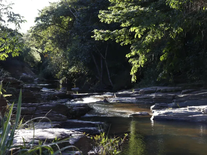 Fazenda em Santo Antônio do Descoberto/Goiás — Ref BBA31W — Imagem 8