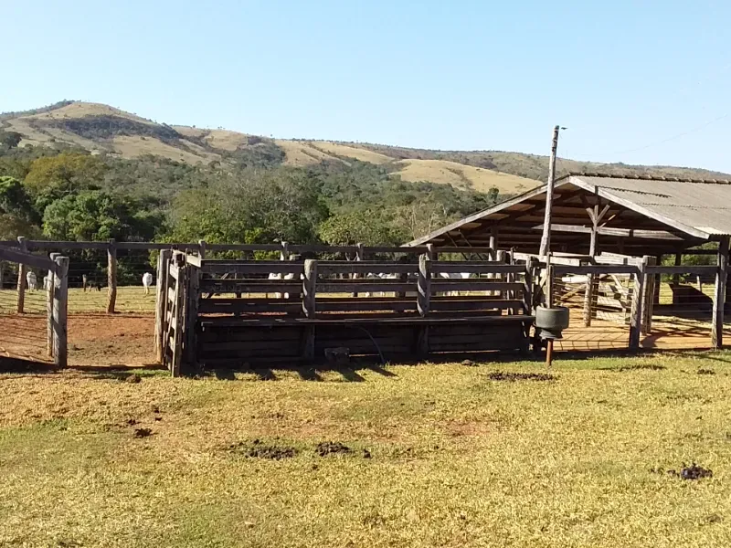 Fazenda em Santo Antônio do Descoberto/Goiás — Ref BBA31W — Imagem 9