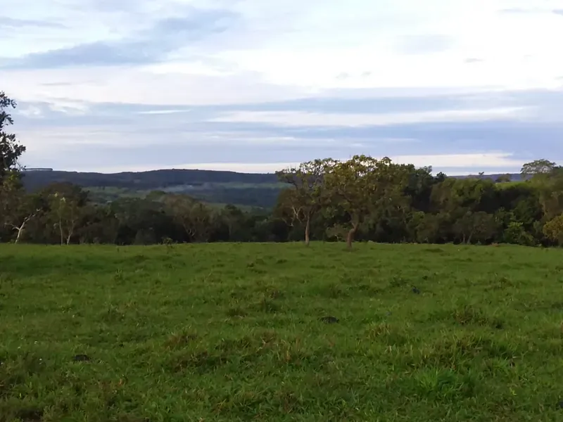 Fazenda em Santo Antônio do Descoberto/Goiás — Ref BBA31W — Imagem 20