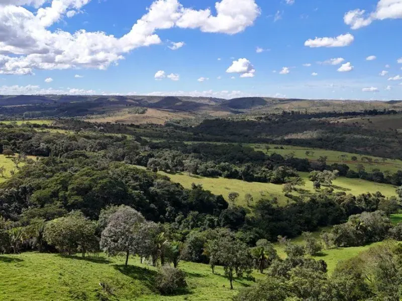 Fazenda em Santo Antônio do Descoberto/Goiás — Ref BBA31W — Imagem 7