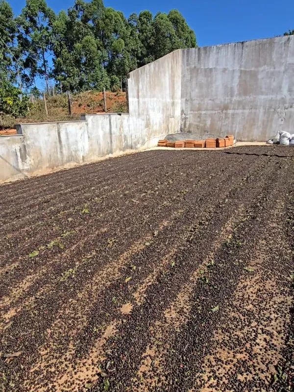 Fazenda em São Gotardo/Minas Gerais — Ref 4O3849 — Imagem 19
