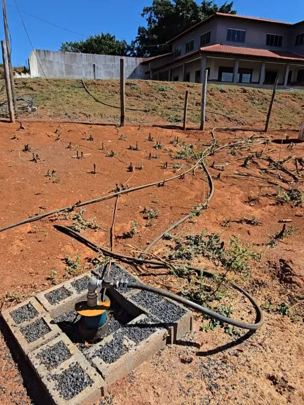 Fazenda em São Gotardo/Minas Gerais — Ref 4O3849 — Imagem 7