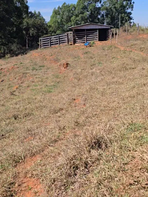 Fazenda em São Gotardo/Minas Gerais — Ref 4O3849 — Imagem 9