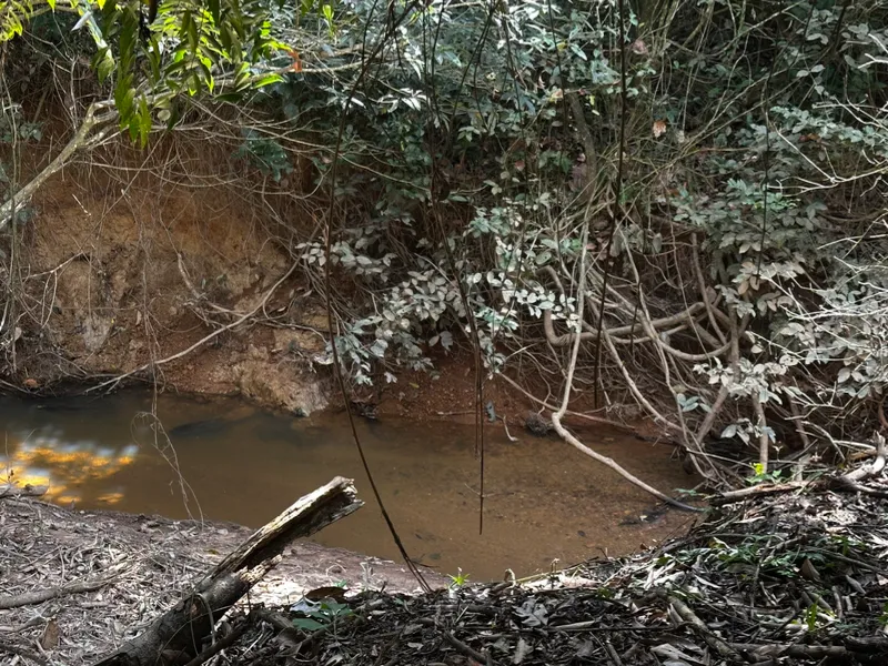 Chácara em São José da Varginha/Minas Gerais — Ref OVHU2V — Imagem 2