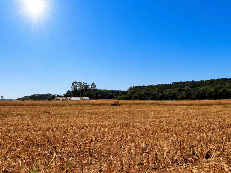 Fazenda em São Mateus do Sul/Paraná — Ref 4EKSY8 — Imagem 7
